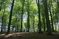 DSC_1677_l