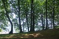 DSC_1678_l