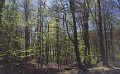 IMG_2532_mk