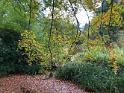IMG 4553 (1)