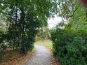 IMG 4554 (1)