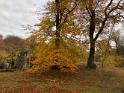 IMG 4599
