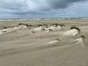 IMG 5178