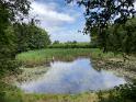 IMG 6886