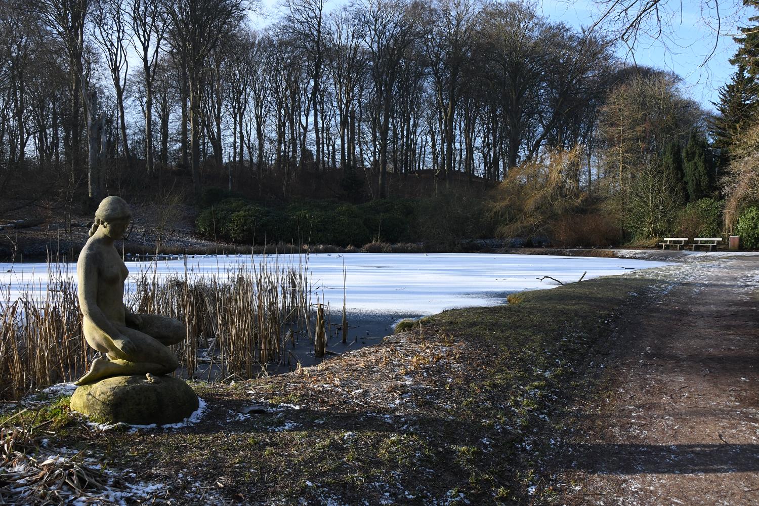 DSC 0721