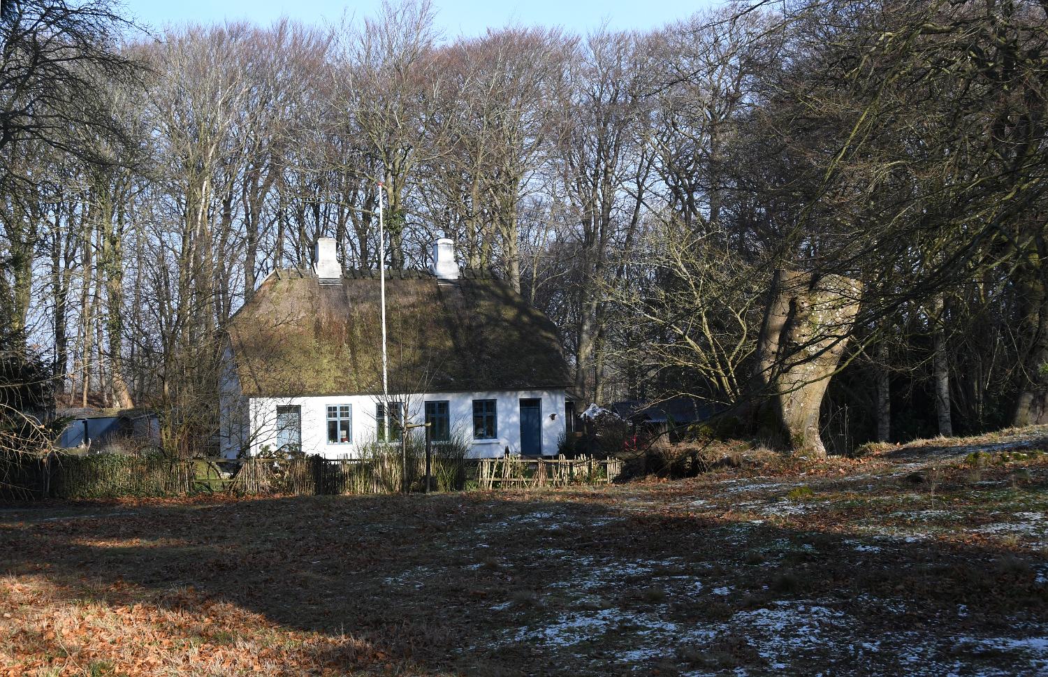DSC 0726