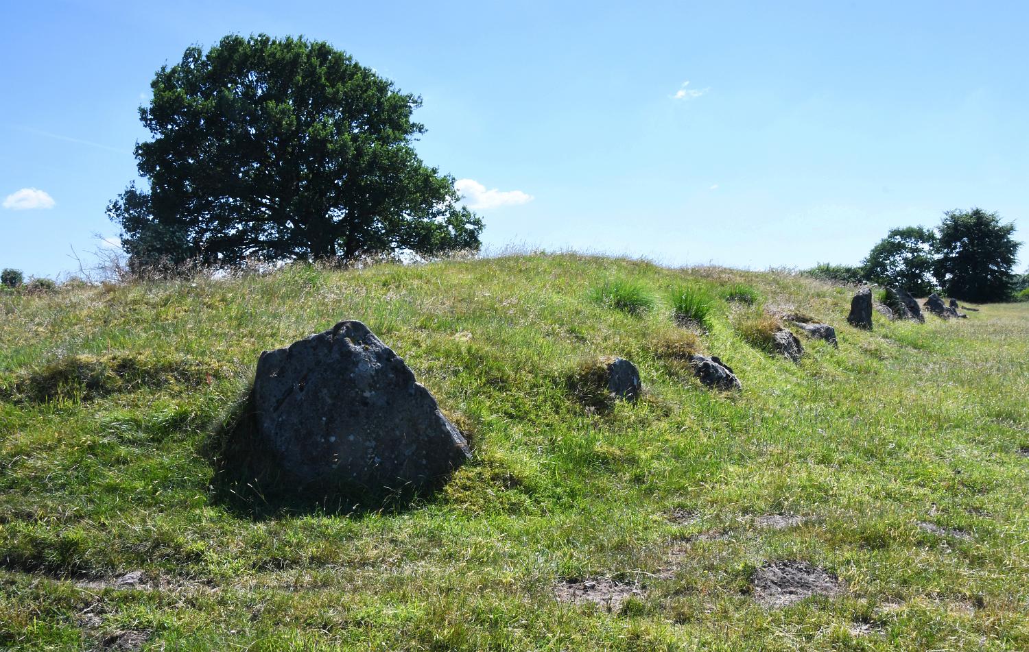 DSC 1304 llec