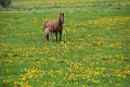 DSC_8194_mkf