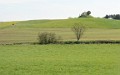 DSC_8304_kc