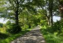 IMG 7732 c