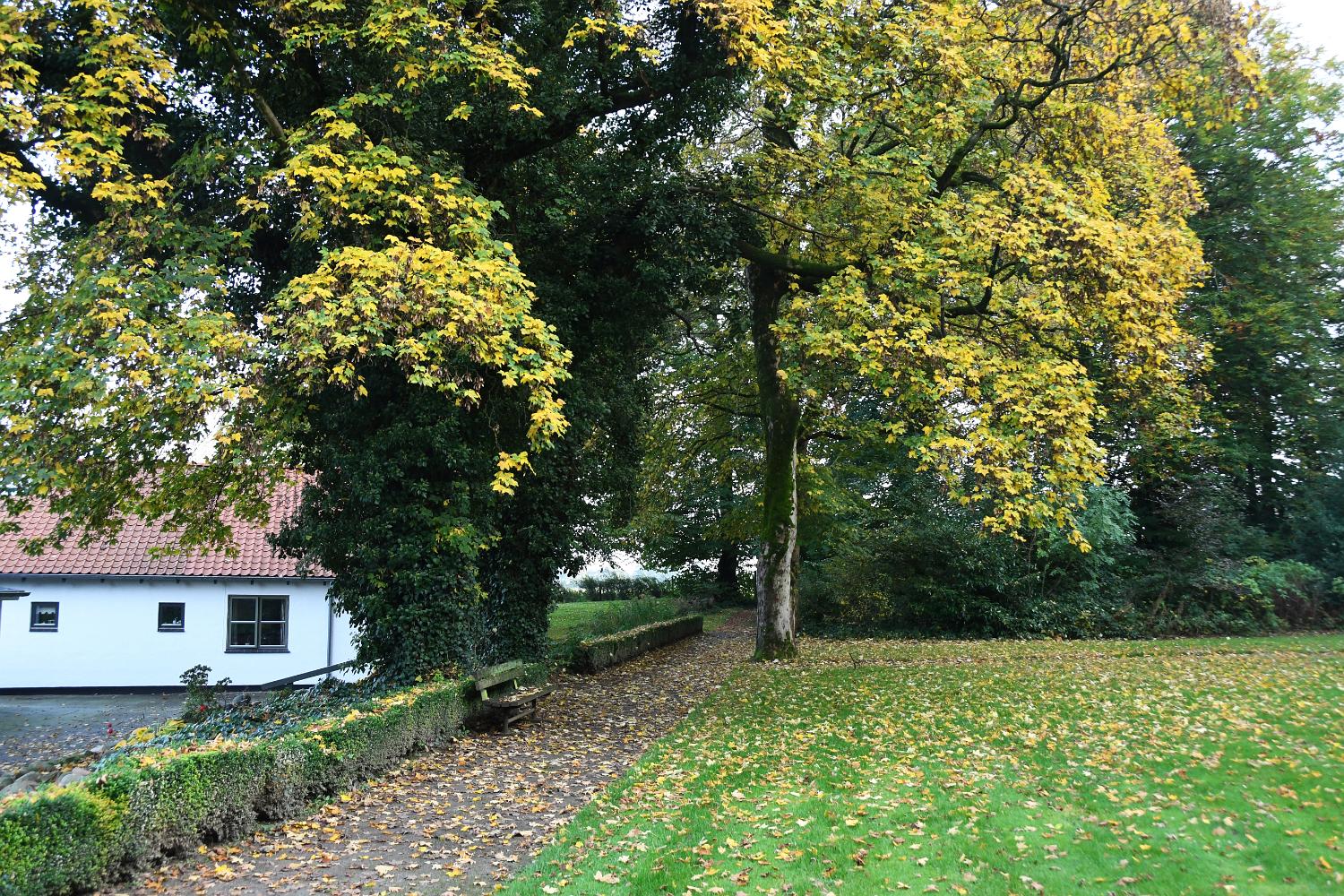 DSC 0361 k