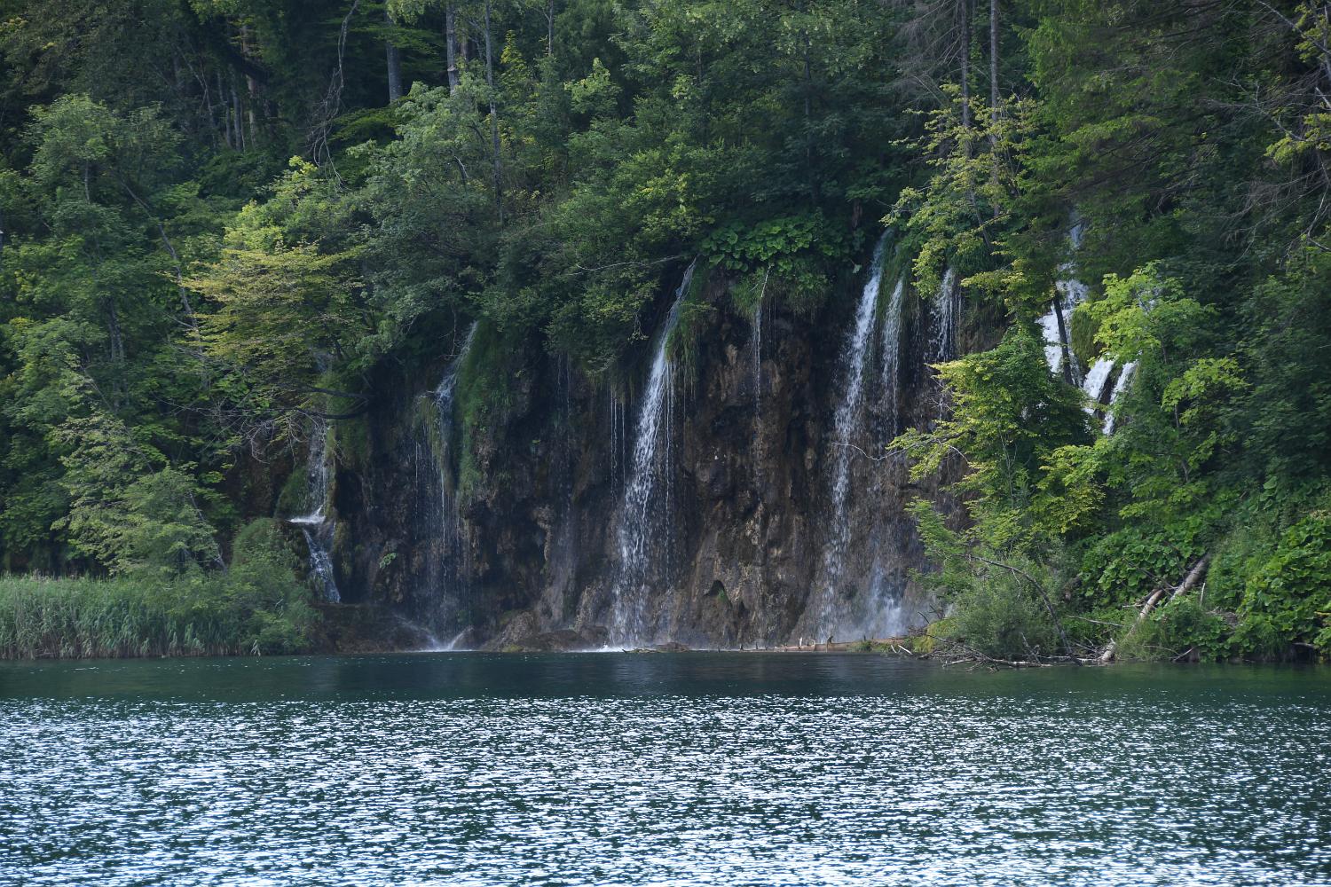 DSC 1594 lk