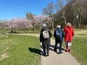 IMG 6481