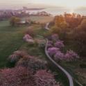 mindeparken drone april2022 e 2000-1