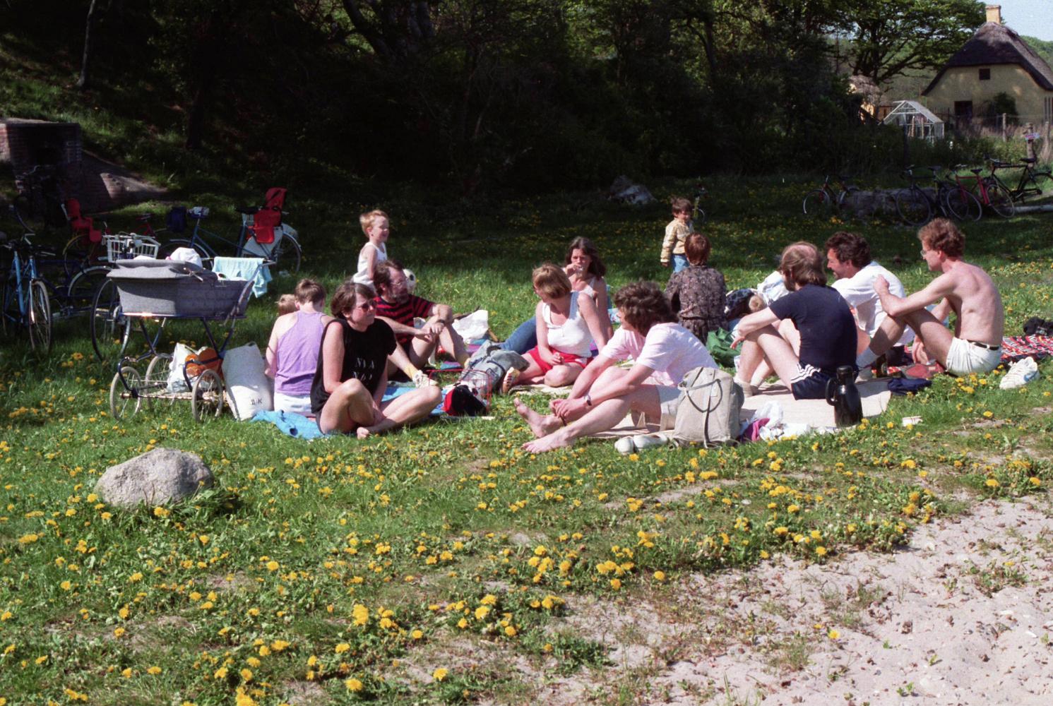 Scan20020 les