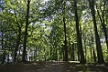 DSC_1090