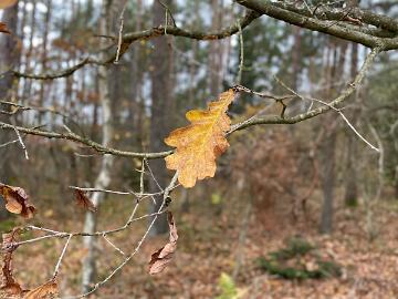 IMG E5872