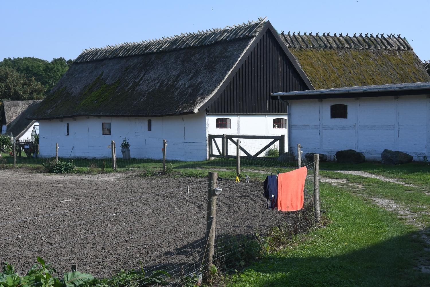 DSC 3675
