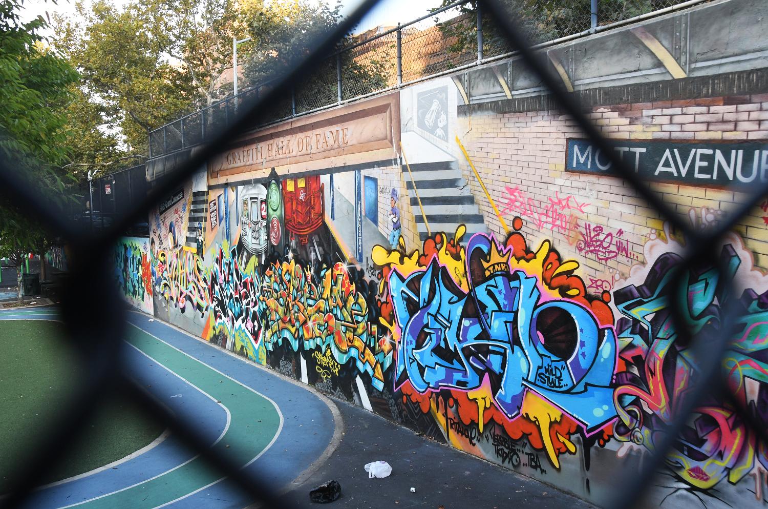 DSC 2620 mkc
