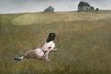 andrew wyett cri 1948