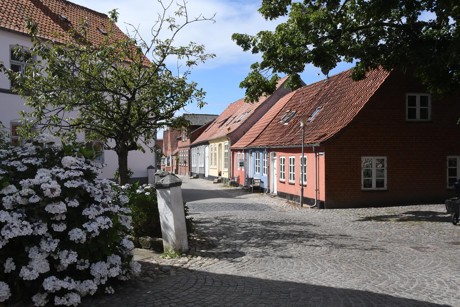 DSC 4551