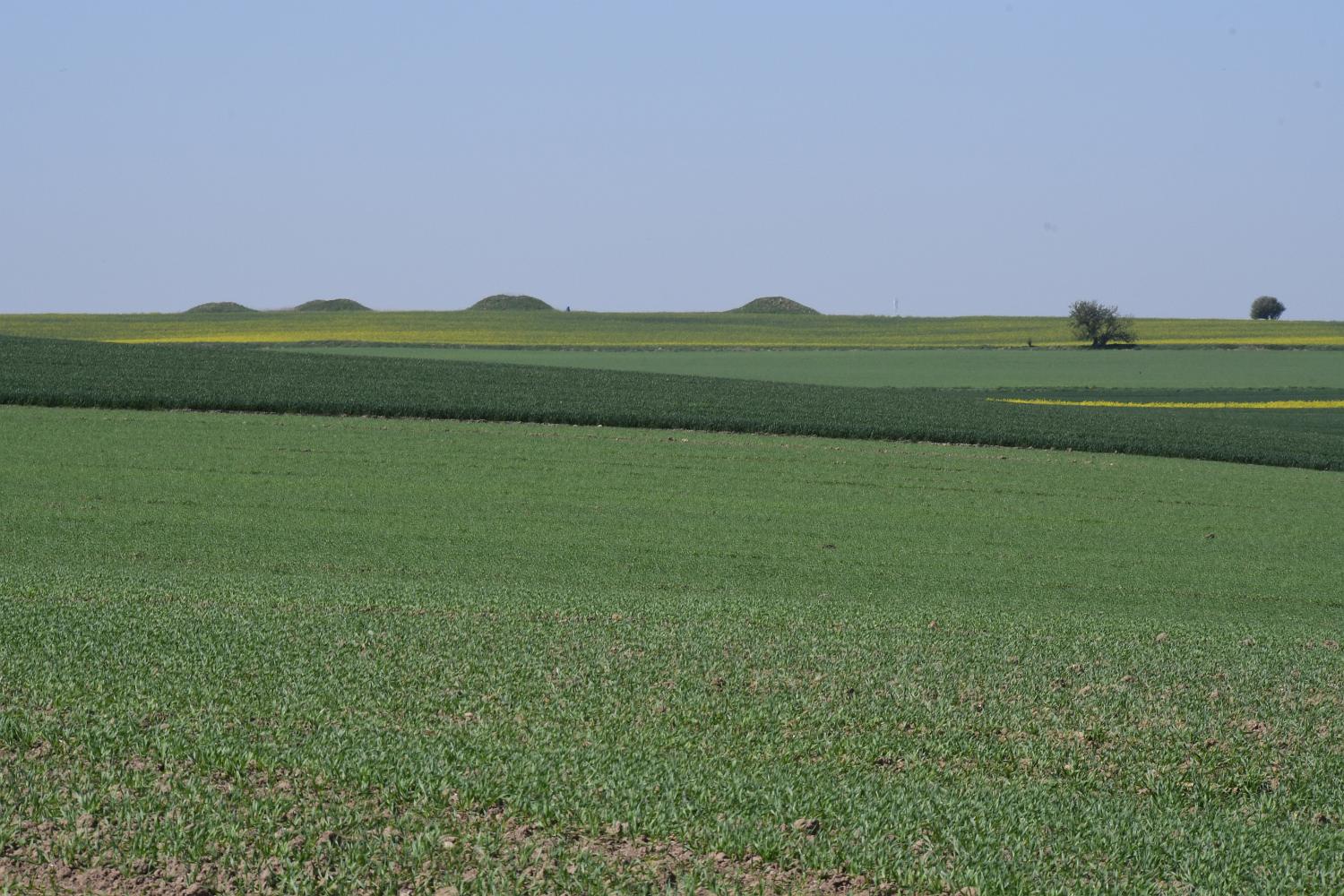 DSC 1177 k