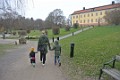 DSC_1533_m