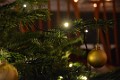 DSC_6400_mk