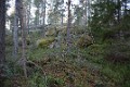 DSC_6416_mk