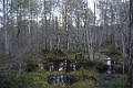 DSC_6417_mk