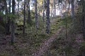 DSC_6421_mk