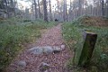 DSC_6436_mk