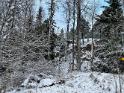 IMG 5961