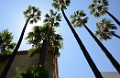 DSC_6019_c