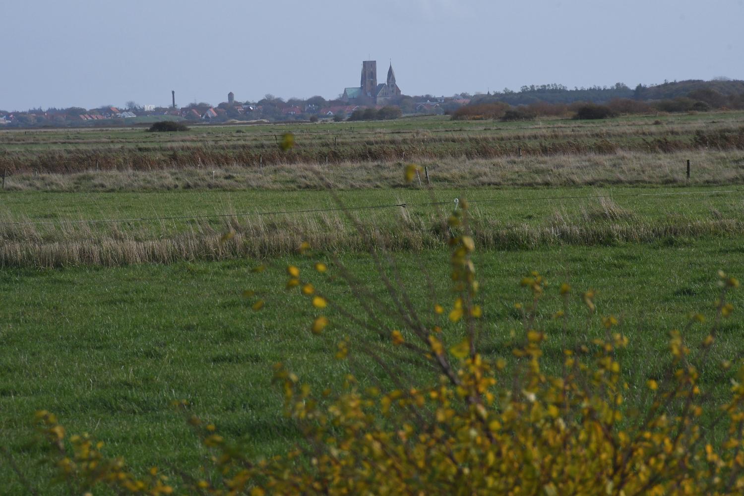 DSC 4812 lk