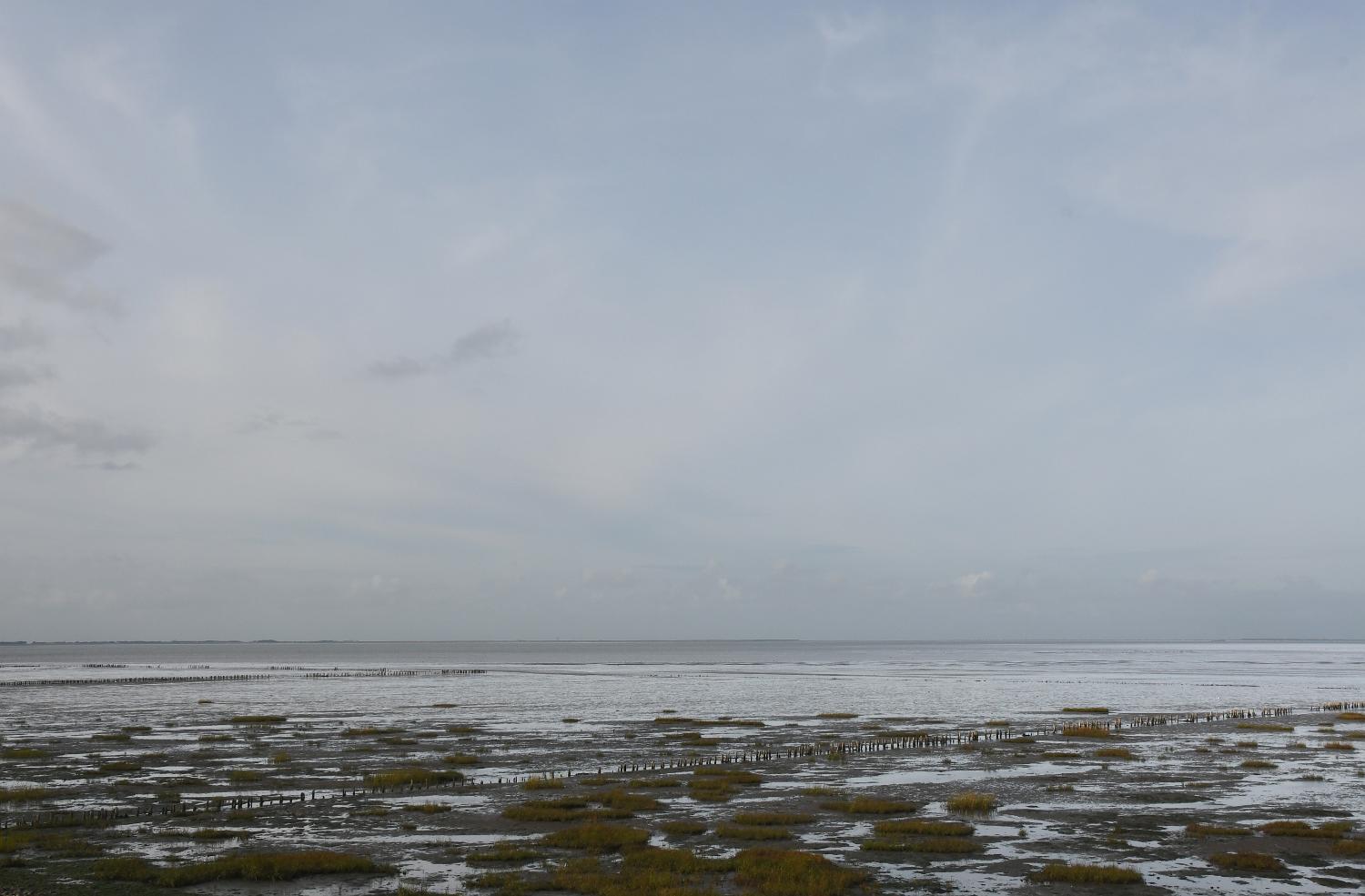 DSC 4817 lkr
