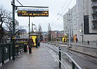 DSC 2398