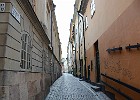 DSC 2504