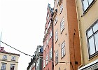 DSC 2507 l