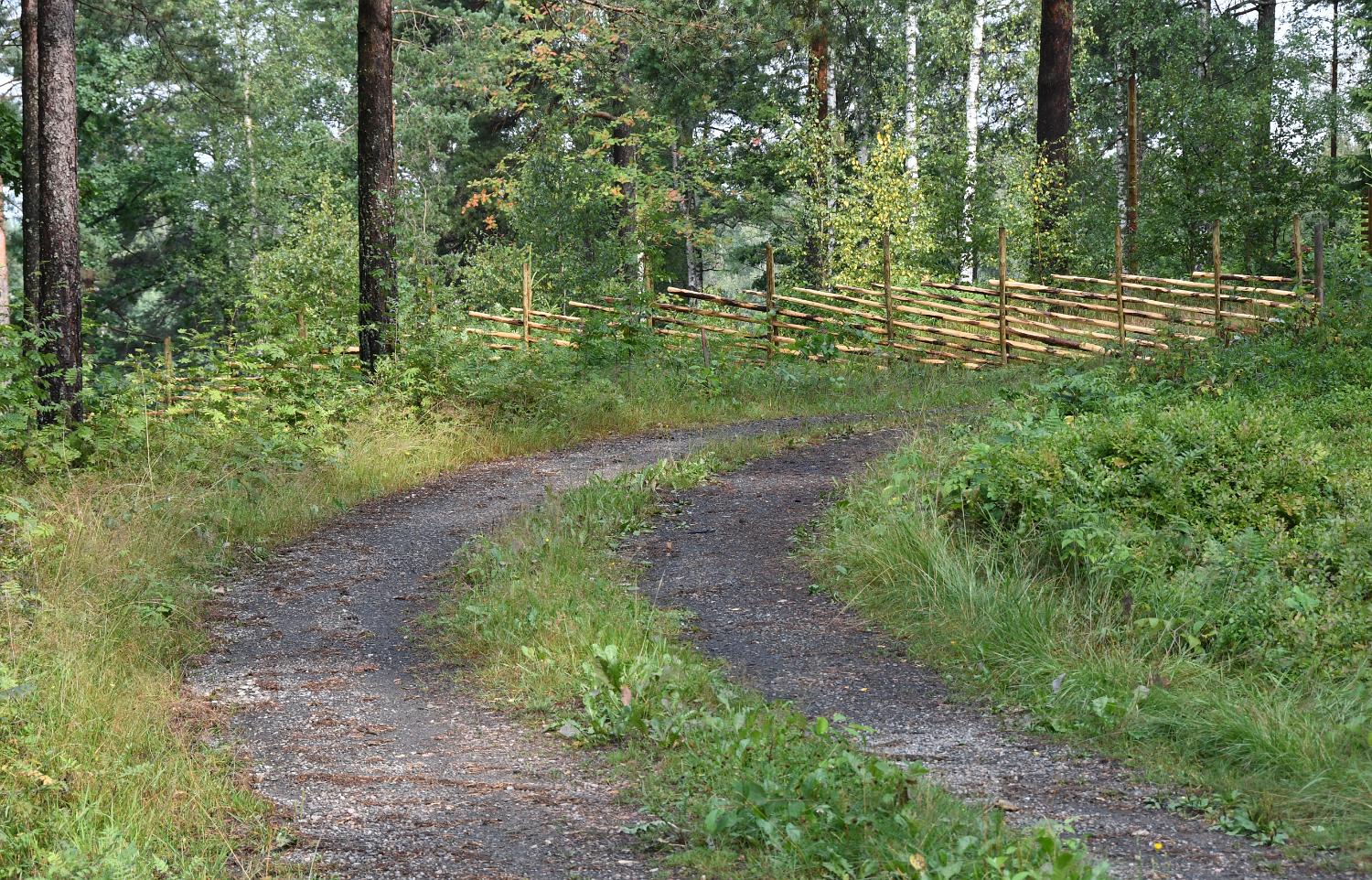 DSC 5047 c