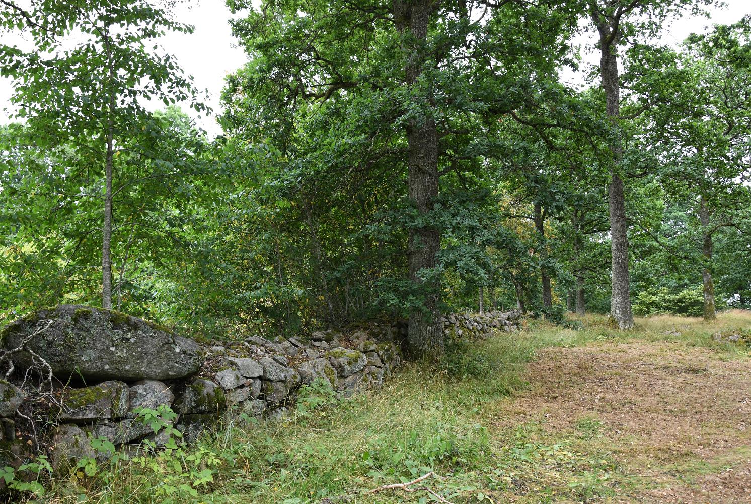 DSC 5077 ck