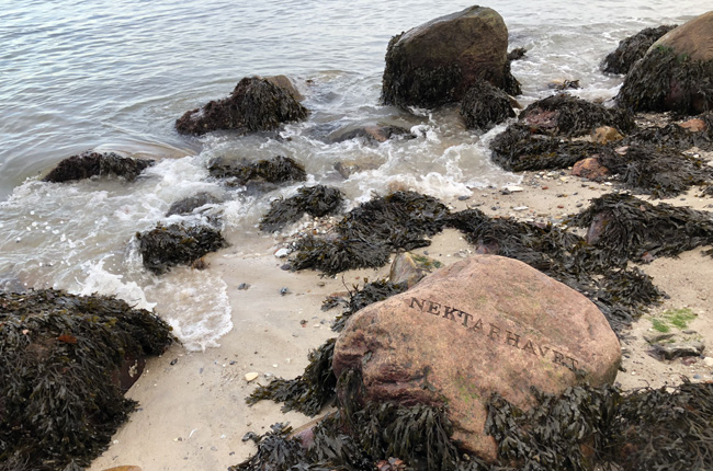 Download Hvordan man laver strand part dekorationer HD Hvordan Man Laver Strand Part Dekorationer